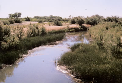 Beaver River WMA