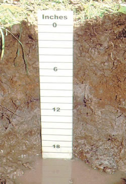 oxbow soil profile