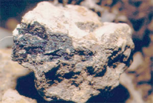 hydric soil example