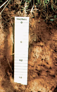 soil profile