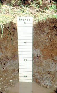soil profile