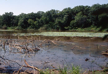 Okmulgee Oxbow WMA