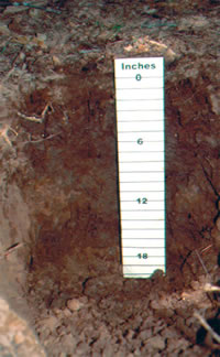 soil profile